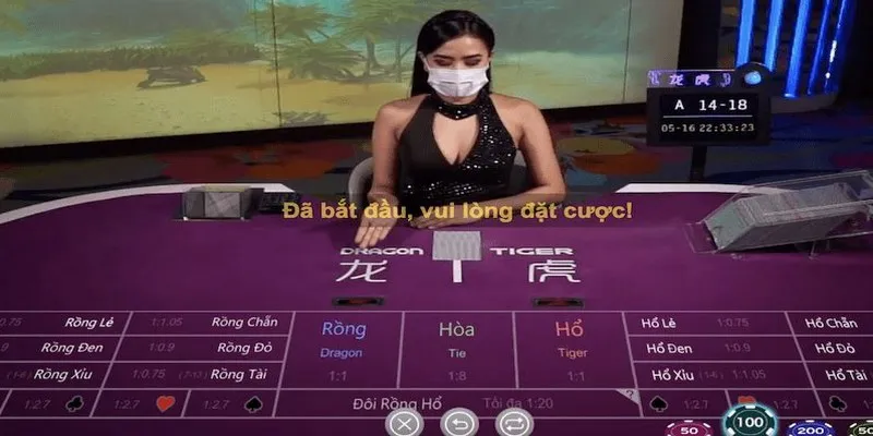 Thông tin trả thưởng minh bạch trong Rồng hổ Kubet